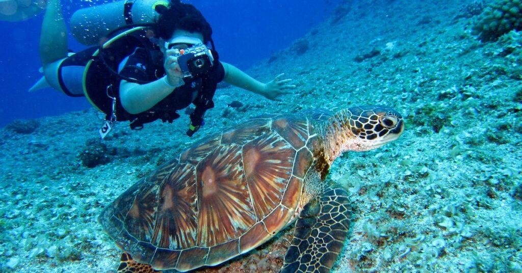 Scuba Diving Tips for Beginners