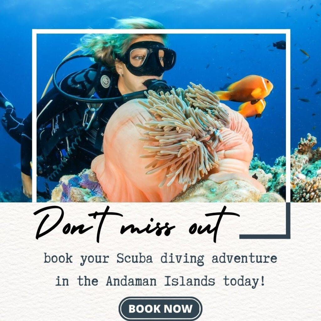 scuba diving book now (1)