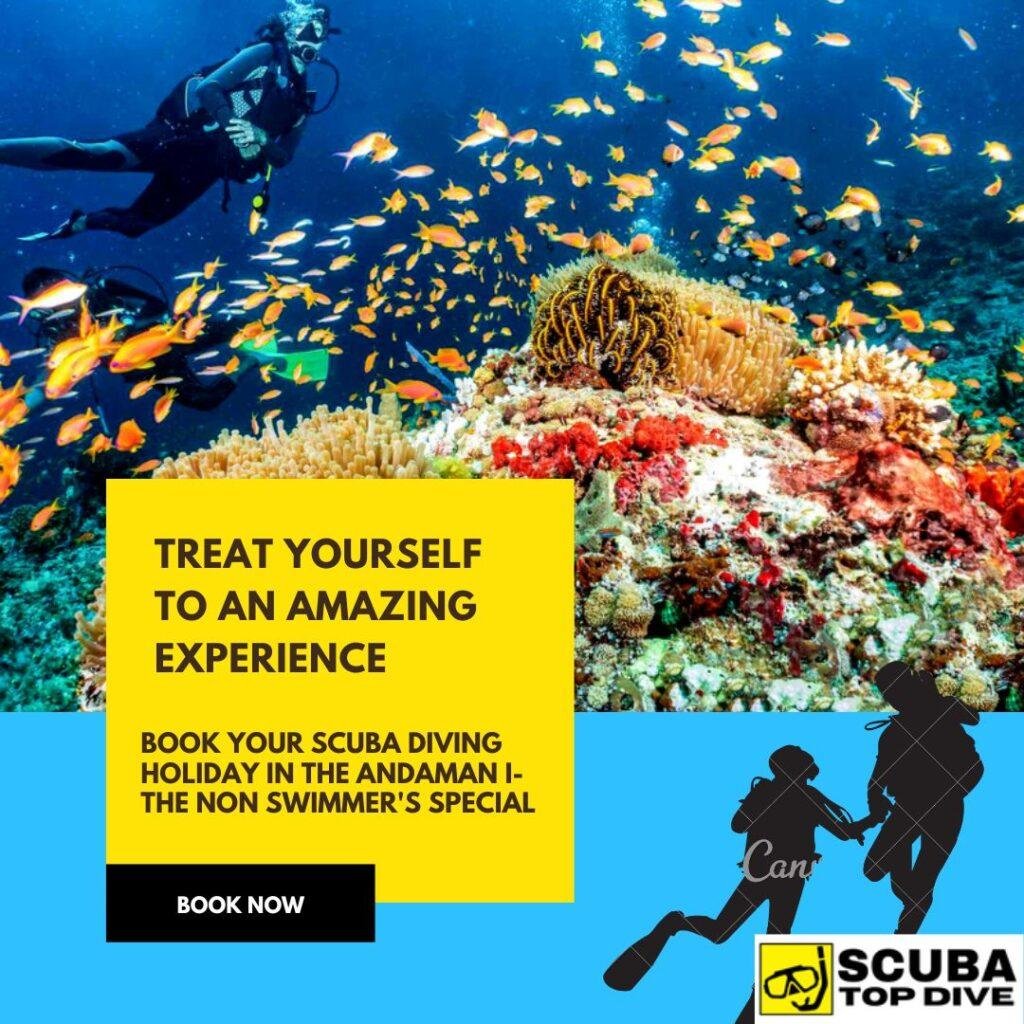 scuba diving book now (4)