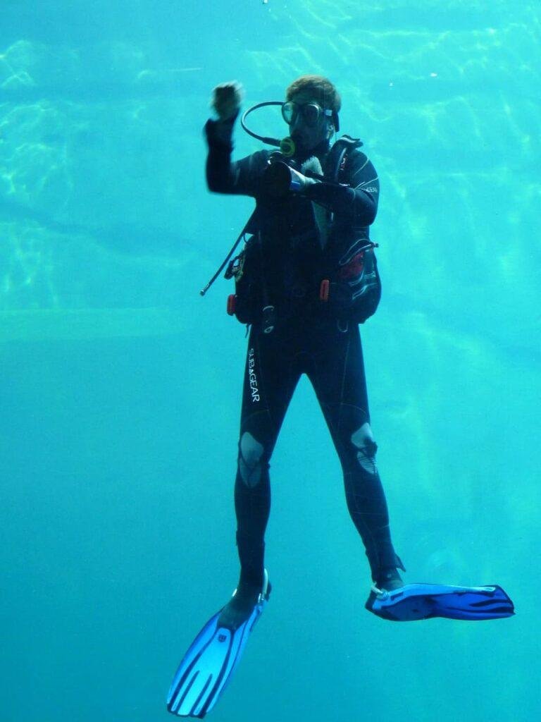 scuba suits