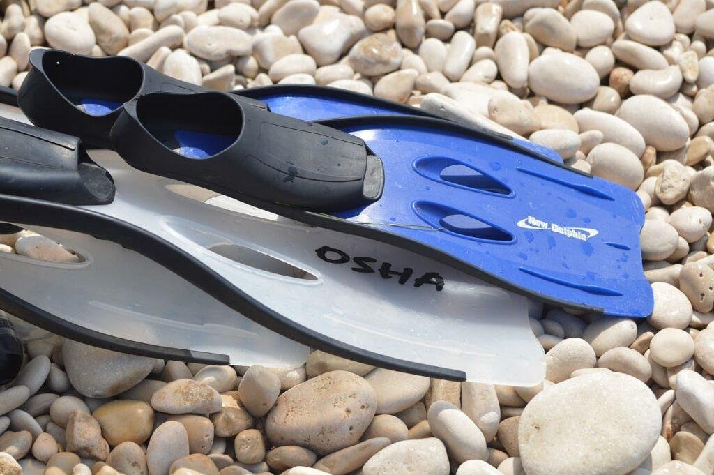 Diving Fins