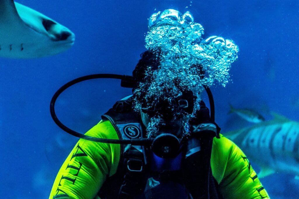 Scuba Diving Regulator