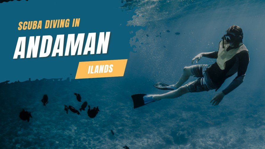 scuba diving in Andaman