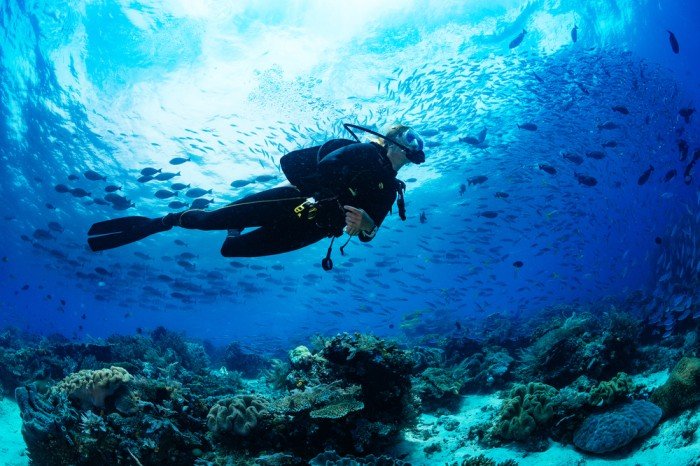 Scuba diving in Andaman