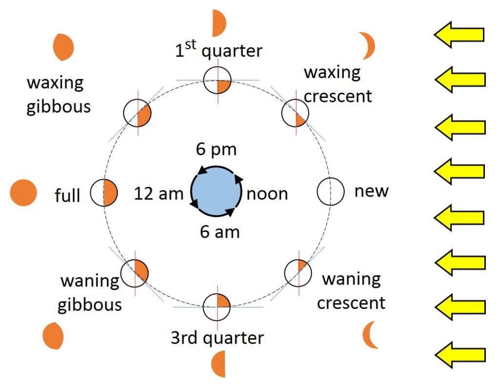 phases of moon