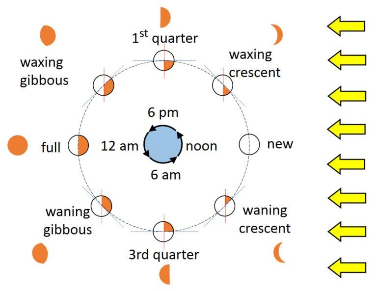 phases of moon