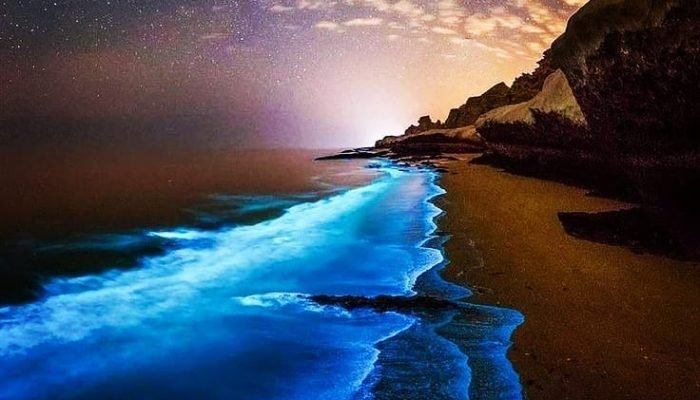 The Magic of Bioluminescence kayaking in Havelock. The Magic of Bioluminescence kayaking in Havelock.